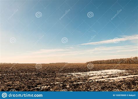 Early Spring Scene Field With Snowy Thawed Patches Stock Image