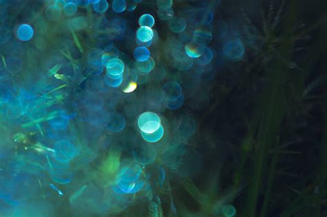 Van Schoor Mawad Project Light Effects Onto Bioluminescent Forest