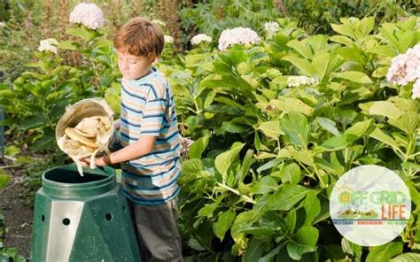 Teach Kids To Compost 7 Tips To Get Started An Off Grid Life