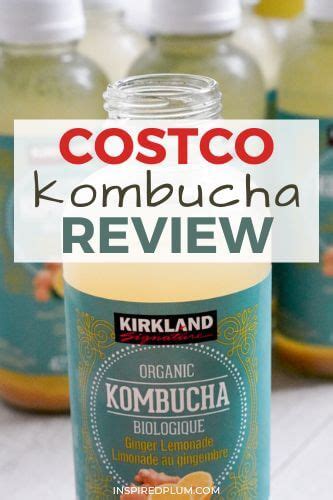 Kirkland Kombucha Review Organic Ginger Lemonade Inspired Plum