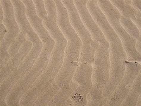 Sand meaning, definition, what is sand: Sand - Wikipedia
