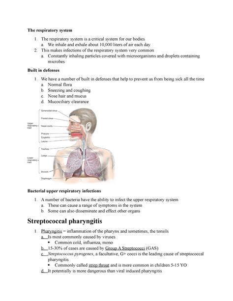 Chapter 20 21 Lecture Notes 2021 The Respiratory System 1 The