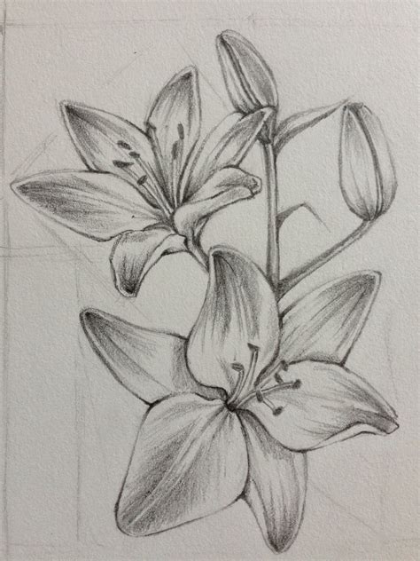 Flower Flower Sketch Pencil Pencil Drawings Of Flowers Flower