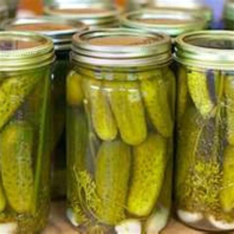 Grandma Browns Dill Pickles By Freda Homemade Pickles Dill Kosher Dill