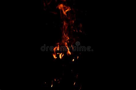 830 Firelight Stock Photos Free And Royalty Free Stock Photos From