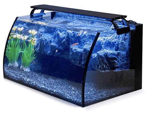 Best 10 Gallon Fish Tanks Available Top 6 Of 2021