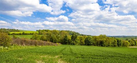 Summer Landscape Stock Image Image Of Fresh Landscape 20384997