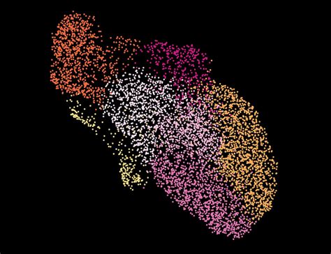 Jose Luis Torres Cuadros On Linkedin The Gene Regulatory Basis Of