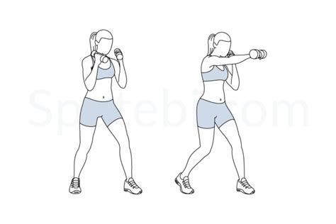 Dumbbell Punches Illustrated Exercise Guide