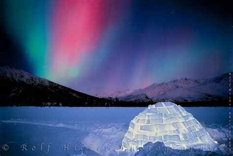 La Dolce Vida Northern Lights Alaska