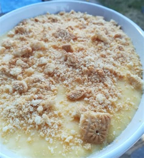 Quick Custard And Tennis Biscuit Dessert Recipe By Quick Simple N Easy