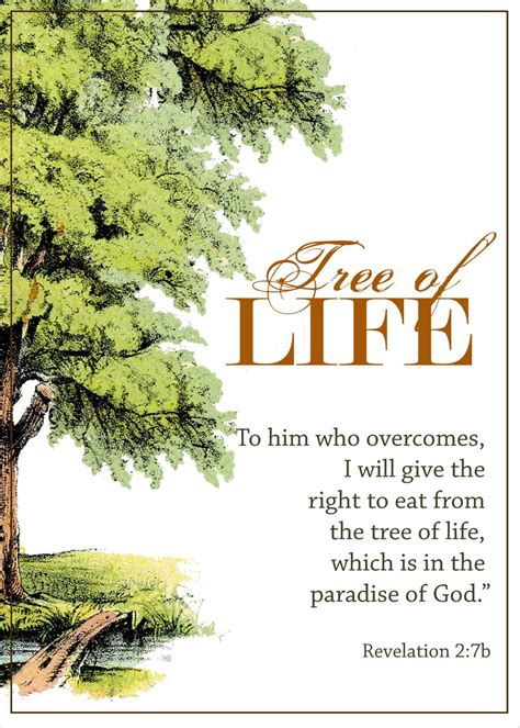 Tree Of Life Quotes Bible Hong Redman