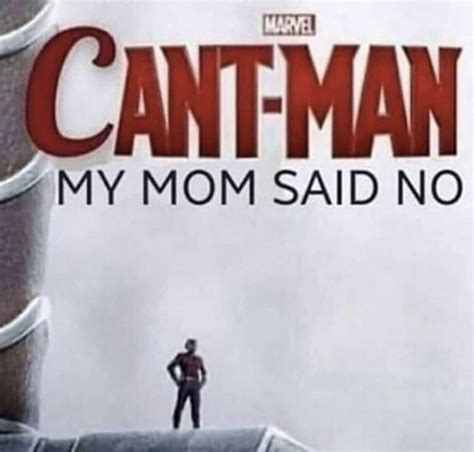 Cant Man My Mom Said No Marvel Comics Know Your Meme Really Funny Pictures Funny Reaction