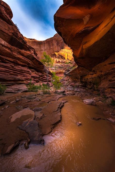 Coyote Gulch Grand Staircase Escalante National Monument Stock Image