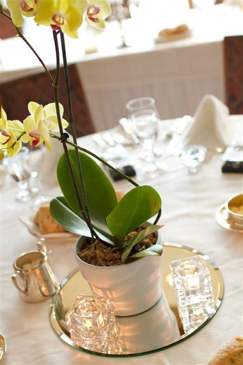 Hottest No Cost Orchids Centerpiece Suggestions Orchid Any Flower Of Style As Well  Orchid