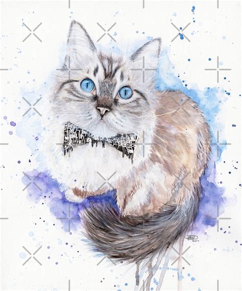 Watercolour Ragdoll Cat By Trichardsonart Redbubble