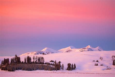 Yellowstone National Park Winter — Slonina Nature Photography