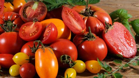 Tomaten 12 Fakten Für Besser Wisser Ernährung Verbraucher Wdr