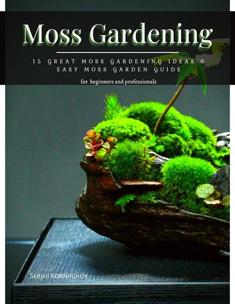 Moss Gardening 15 Great Moss Gardening Ideas And Easy Moss Garden Guide