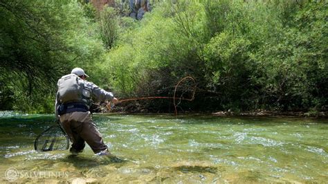Fly Fishing Wallpapers Top Free Fly Fishing Backgrounds Wallpaperaccess
