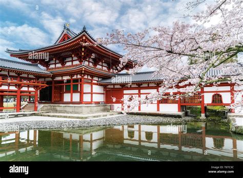 Byodo In Temple In Uji Kyoto Japan During Spring Cherry Blossom In