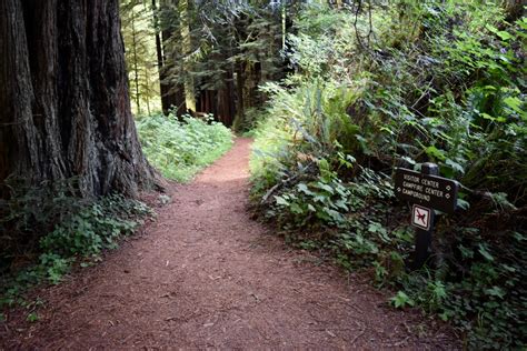 Prairie Creek Redwoods State Park Trails Orick Ca Living New Deal