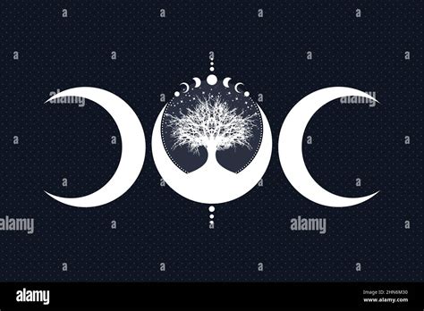 Sacred Tree And Crescent Moon Hand Drawn Mystical Moon Phases Tree Of