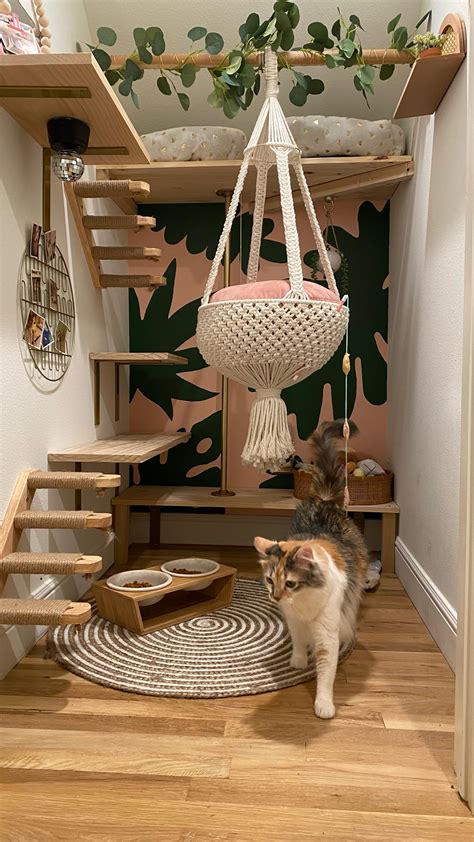 Were So Ready To Move Into These Mini Pet Rooms Architectural Digest
