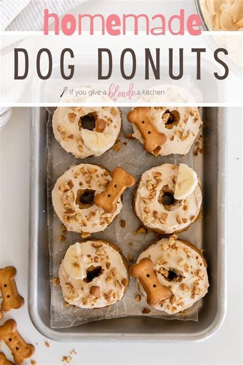 Dog Cookie Recipes Easy Dog Treat Recipes Healthy Dog Treats Homemade