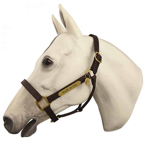 Top 10 Best Horse Halters In 2021 Reviews Go On Products