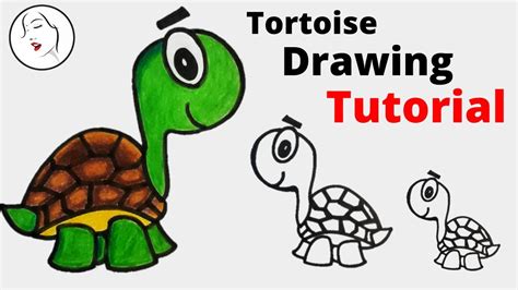 How To Draw A Tortoise Step By Step Easy Drawings Youtube
