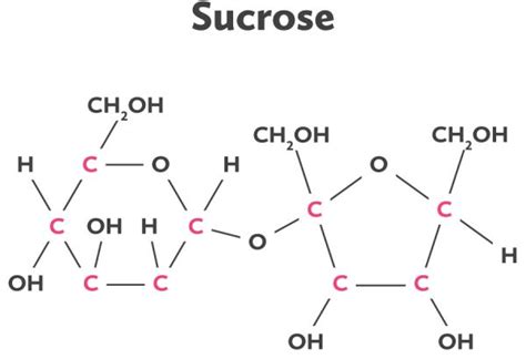 Sucrose Molecule Biology Curriculum Molecules Chemical Bond