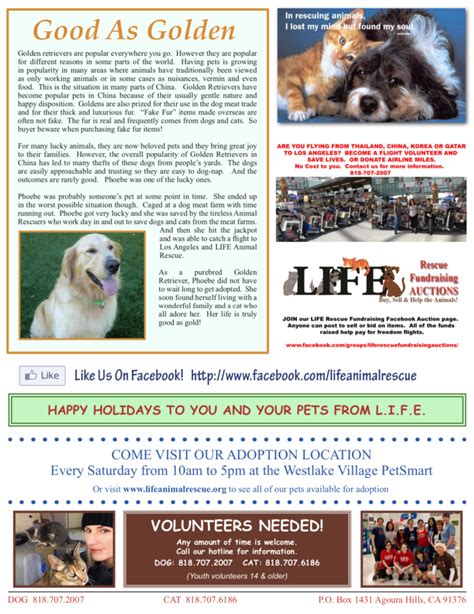 Newsletters Life Animal Rescue