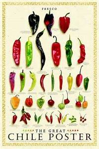 Chili Pepper Yahoo Image Search Results Kitchen Prints Kitchen Art