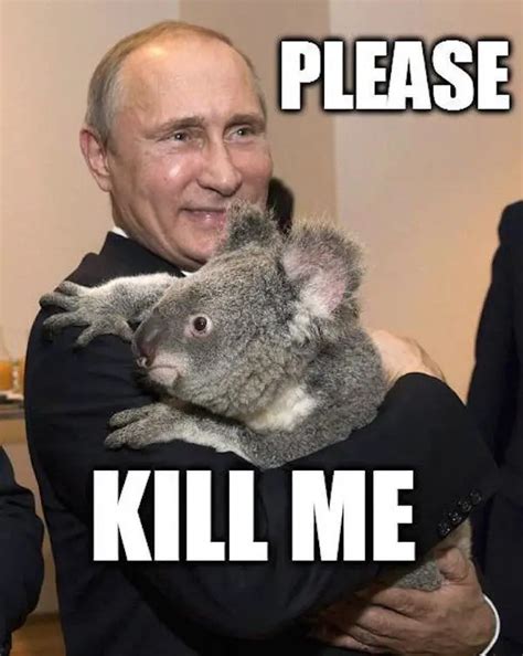 russia made it illegal to publish putin memes so here are some of our favorite putin memes