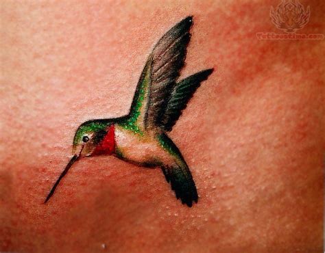 Tattoos Of Humming Bird Colorful Hummingbird Tattoos