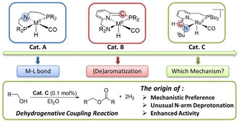 When Bifunctional Catalyst Encounters Dual Mlc Modes Dft Study On The