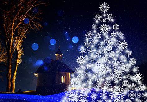 História Da árvore De Natal Macabra