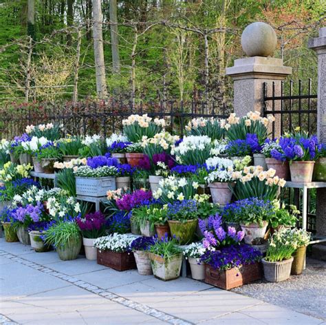 A Gallery Of 22 Beautiful Container Garden Ideas