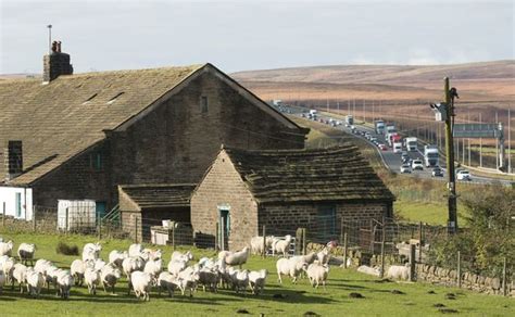 Big Plans For The Future Of The Farm In The Middle Of The M62 Leeds Live