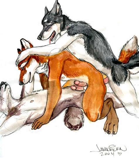 Rule 34 Allison Reed Anal Anal Sex Anthro Canine Fox Fur. 