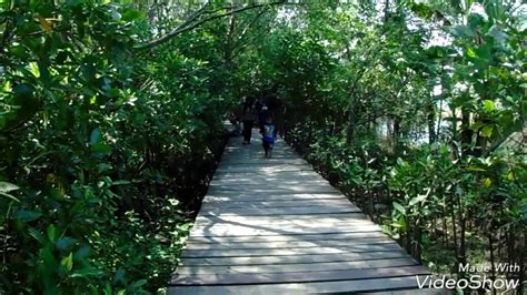 Ekowisata Mangrove Wonorejo Mangrove Ecopark Surabaya Youtube