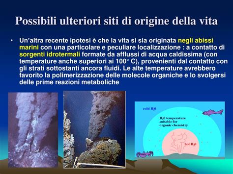 Ppt Origine Della Vita Sulla Terra Powerpoint Presentation Free