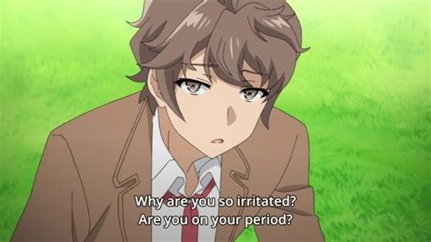 Why Is The Anime Series Rascal Does Not Dream Of Bunny Girl Senpai So Highly Rated Quora