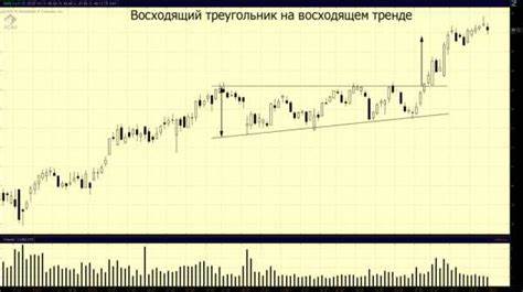 Фигура треугольник диета Треугольник фигура – Тип фигуры ТРЕУГОЛЬНИК (характер, стиль, диета) Треугольник фигура – Тип фигуры ТРЕУГОЛЬНИК (характер, стиль, диета) Фигура треугольник диета