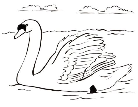 Swan Coloring Page Art Starts