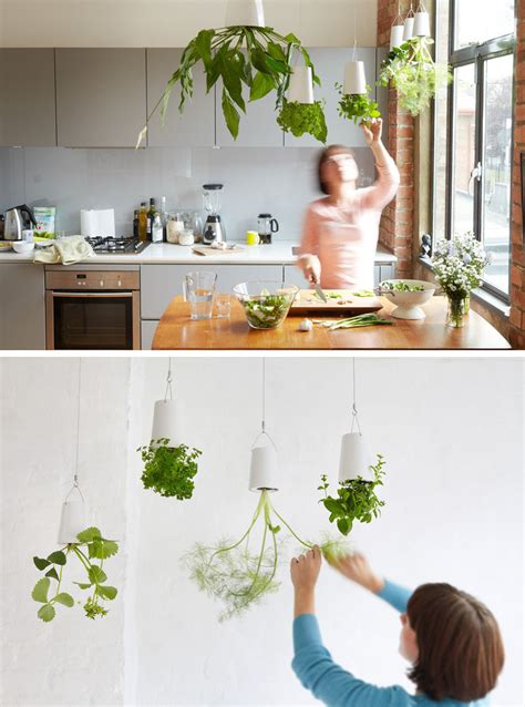 But also you need the perfect way of hanging a start putting your wall tapestry on your ceiling from one side to the other end gradually.as the polyester wallhanging tapestry is very lighter. Indoor Garden Idea - Hang Your Plants From The Ceiling & Walls