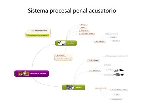 Sistema Penal Acusatorio Diagrama Explicativo Ppt Images Images