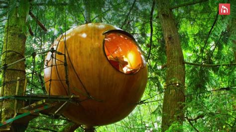 Treehouse Hotels Luxury Rooms With A Birds Eye View Youtube
