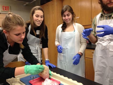 If there's one thing i can do over and over again, it's rate girls purely on their looks. » Arianne Thomas: My JanPlan Experience - pt. 2 Human ...